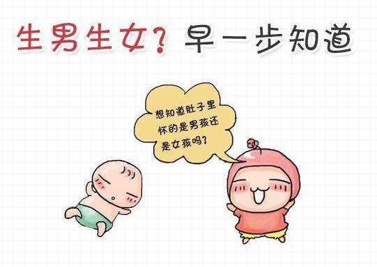 包生男孩电话-包生男孩电话：一个全新的沟通方式
