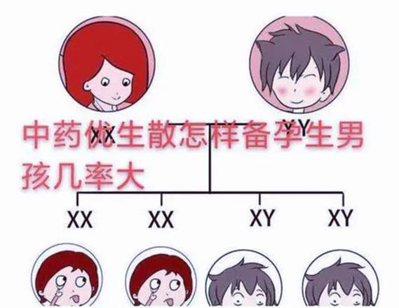 包生男孩双胞胎零风险(包生男孩双胞胎零风险：安全无忧的选择)