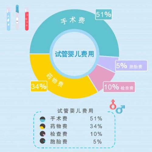 包成功的试管代怀是如何收费的(试管代怀成功包成功收费)