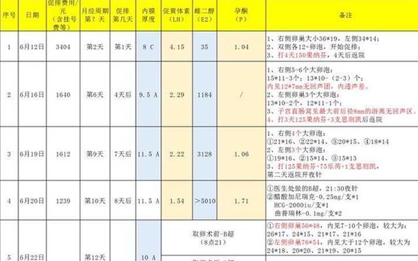包成功试管代怀孩子要多少费用(试管代怀孩子费用一览)